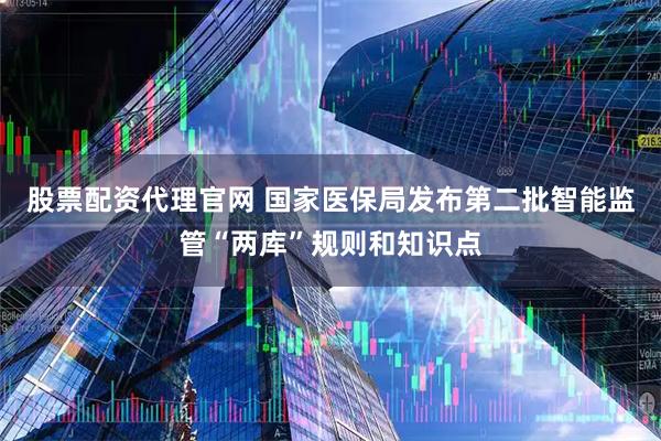 股票配资代理官网 国家医保局发布第二批智能监管“两库”规则和知识点