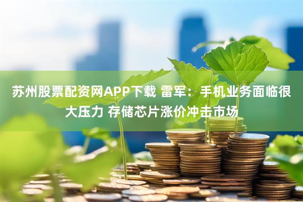 苏州股票配资网APP下载 雷军：手机业务面临很大压力 存储芯片涨价冲击市场